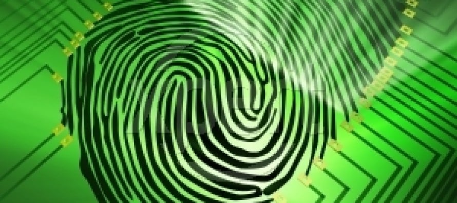 Fingerprinting Processes, Products and Services