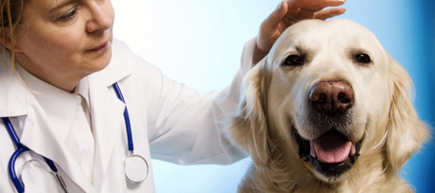 Veterinarians Cheated by Florida Broker of Pet Products