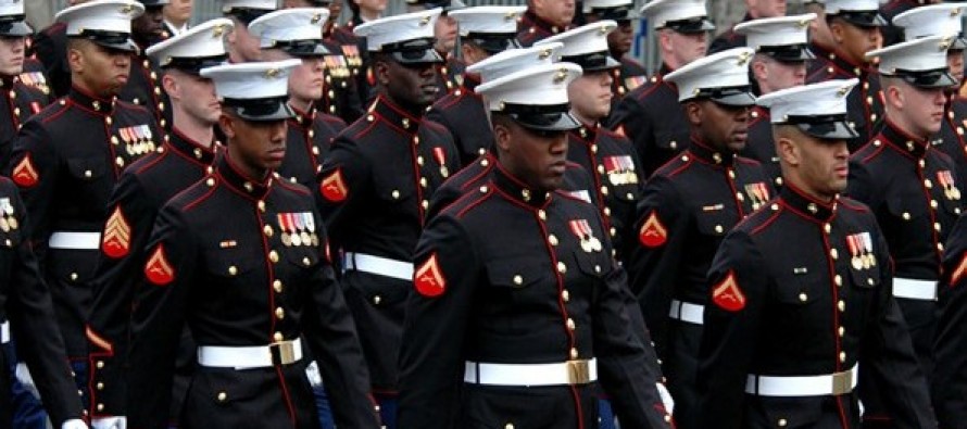 United States Marine Core (USMC) Branch of the U.S. Military