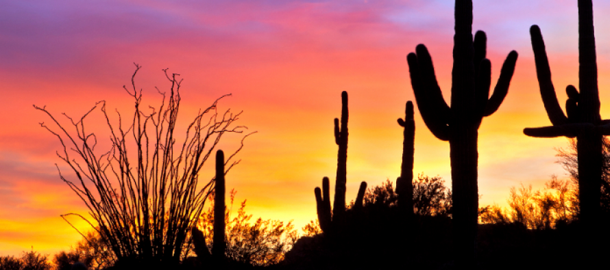 Arizona Private Investigators and Investigation Agencies for Hire