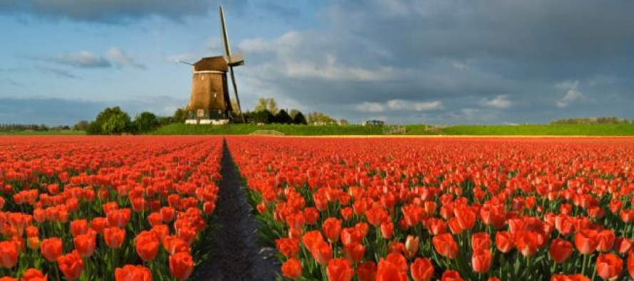Netherlands Private Investigators and Investigation Agencies