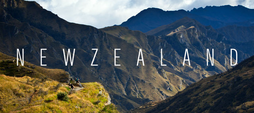 New Zealand Private Investigators and Investigation Agencies