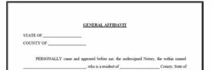 Sample Affidavit