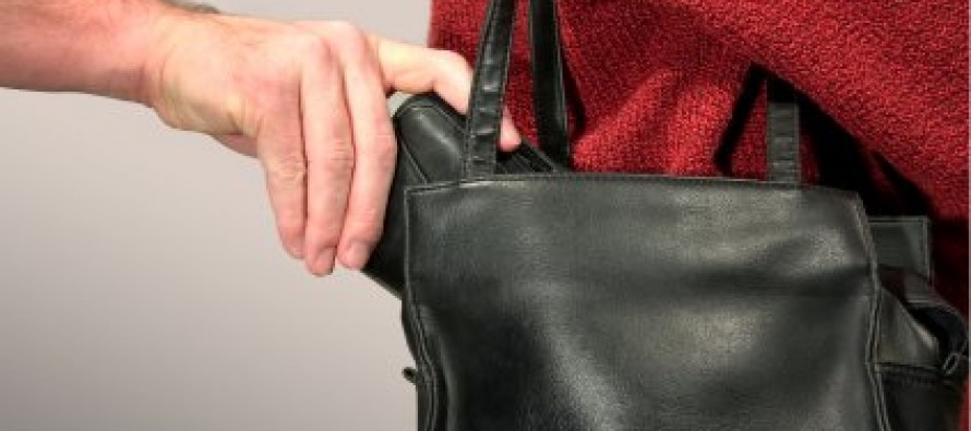 Law Enforcement Advises Precautions for Holiday Shoppers