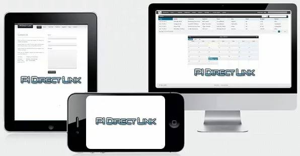 PI DirectLink