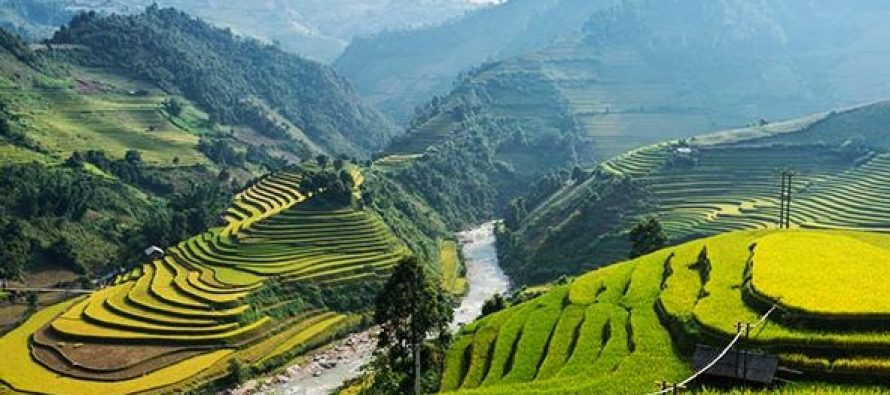 Hire a Private Investigator in Vietnam