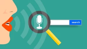 Voice recognition software