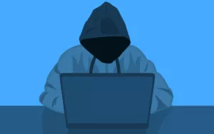 Fraud investigations