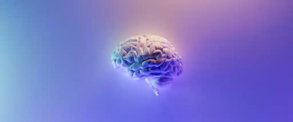 Developing critical thinking skills