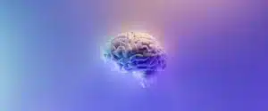 Developing critical thinking skills