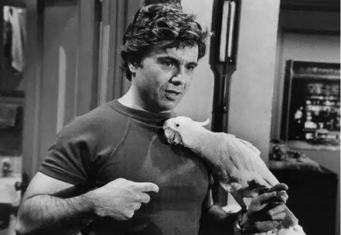 Baretta TV Series